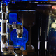 Image: Alex Cranz/Gizmodo